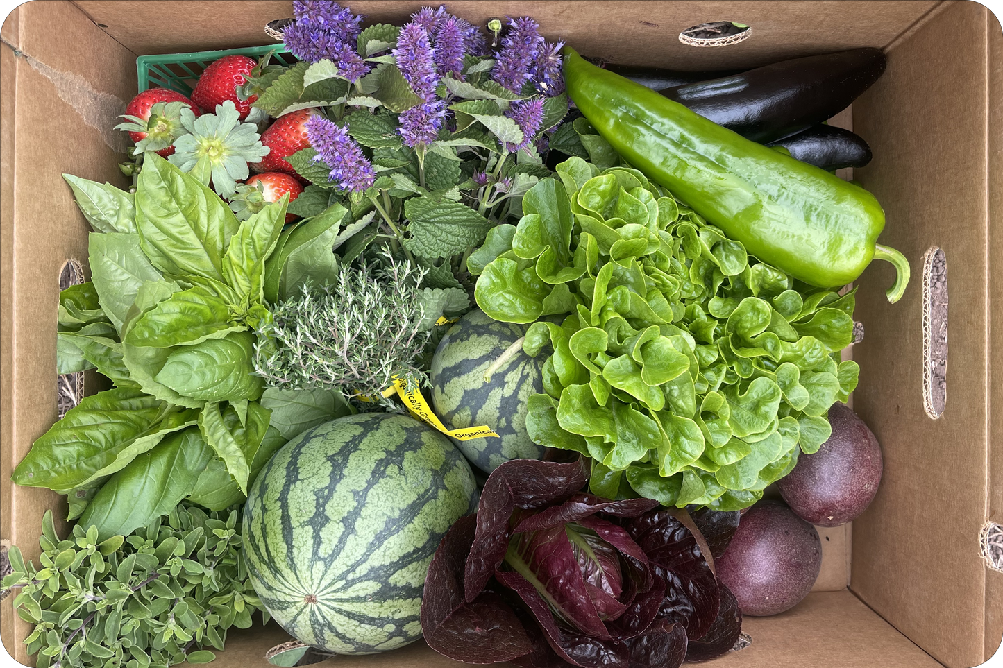 Farm Box